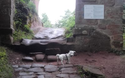 Escapade au pays de Bitche dans les Vosges du Nord
