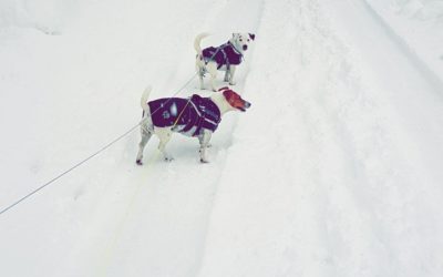 Aventure à la neige en Savoie